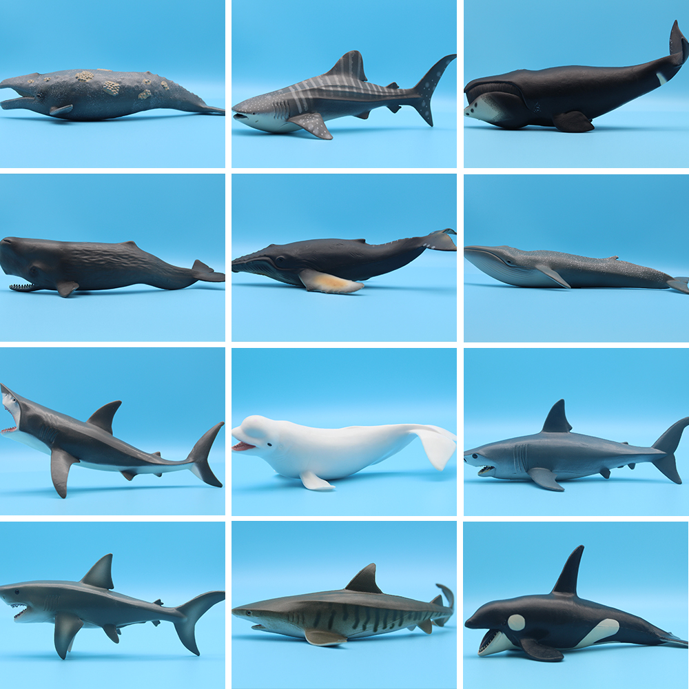 Aquarium Blue Marine - Ocean Sea Life Simulation Killer Whale