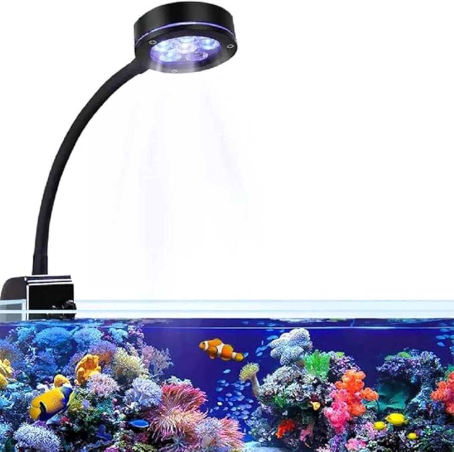 Aquarium Blue Marine Reef - Aquarium LED Coral Reef Light Full