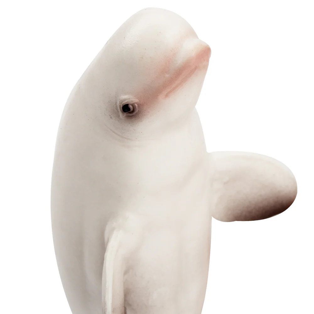 Toymany Simulation Beluga Whal - Marine Aquarium Decorations review and price