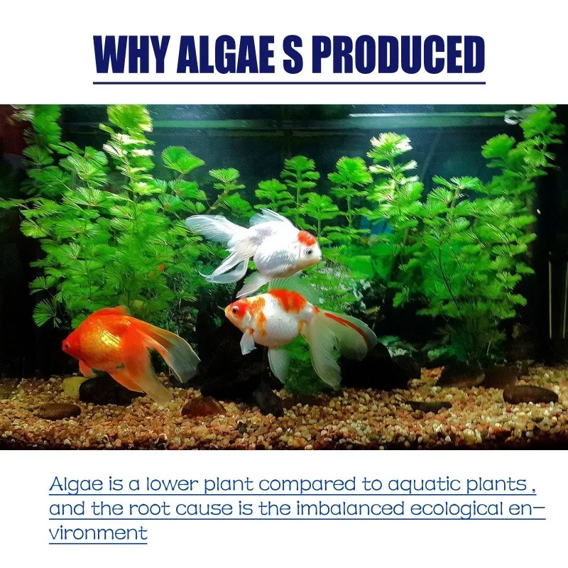 50g High Efficiency Algaecide  - Aquarium Marine Plants review and price
