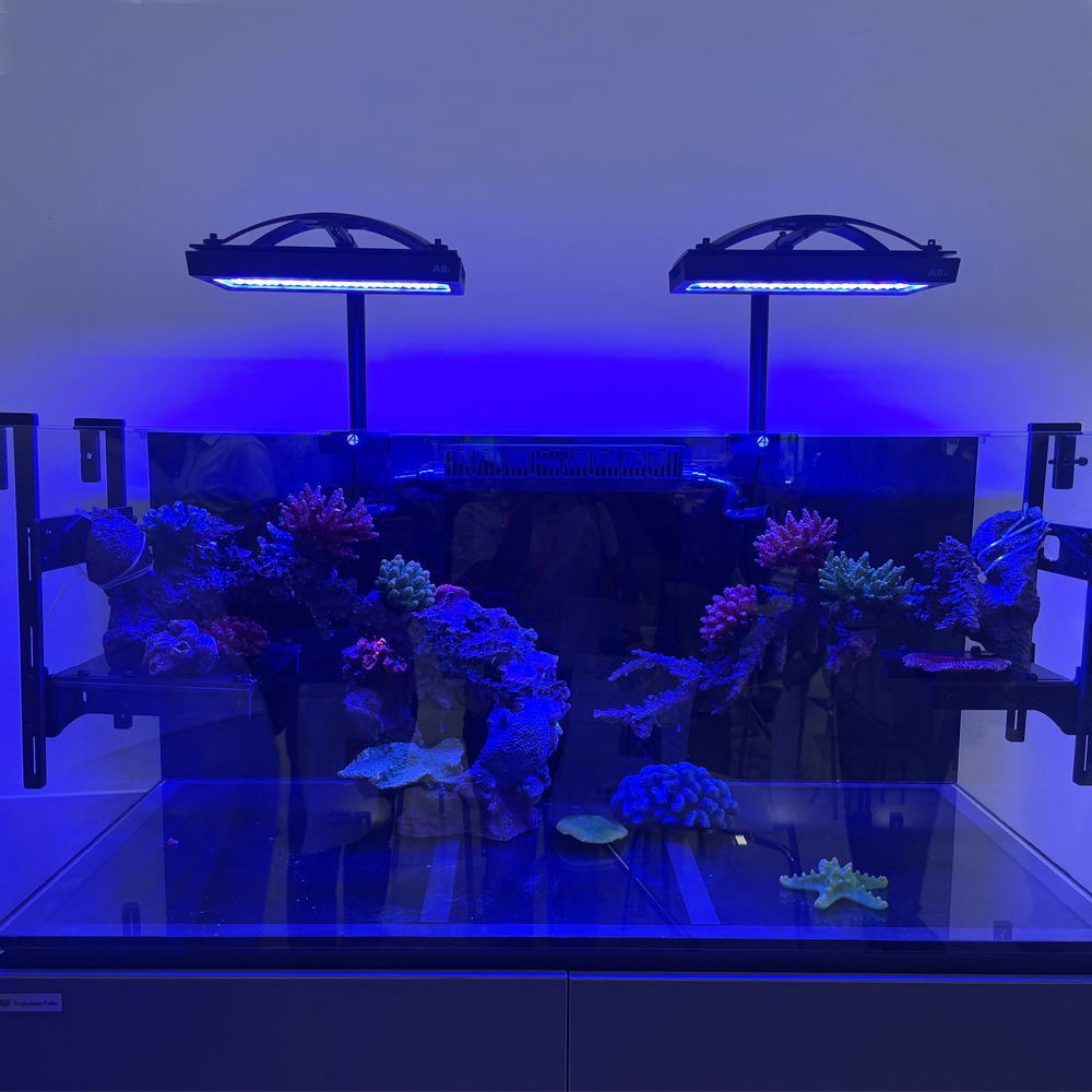 Hydroponic Water Purification  - Aquarium Marine Plants review and price