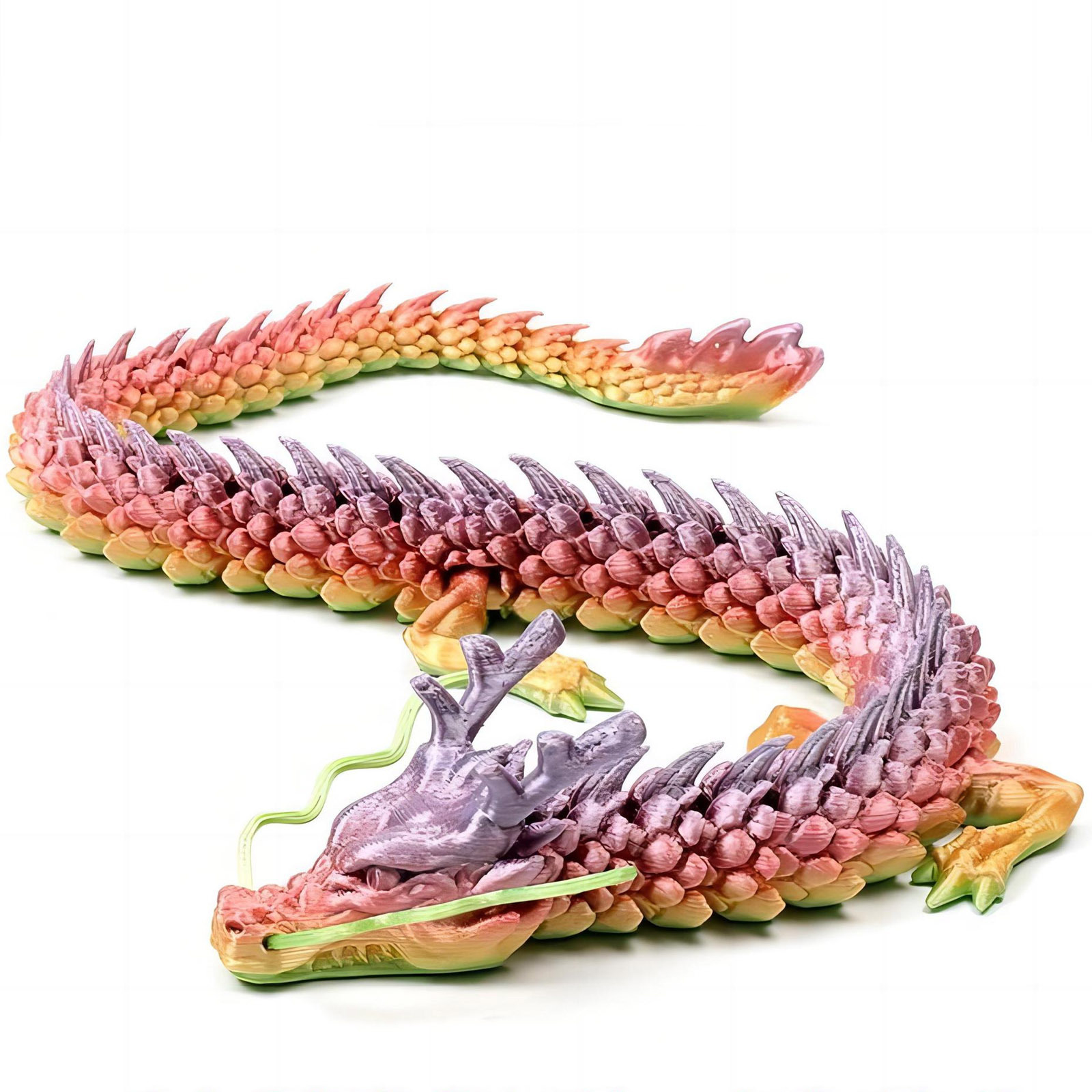 3D Printed Conjoined Dragon Or - Aquarium Marine Plants review and price