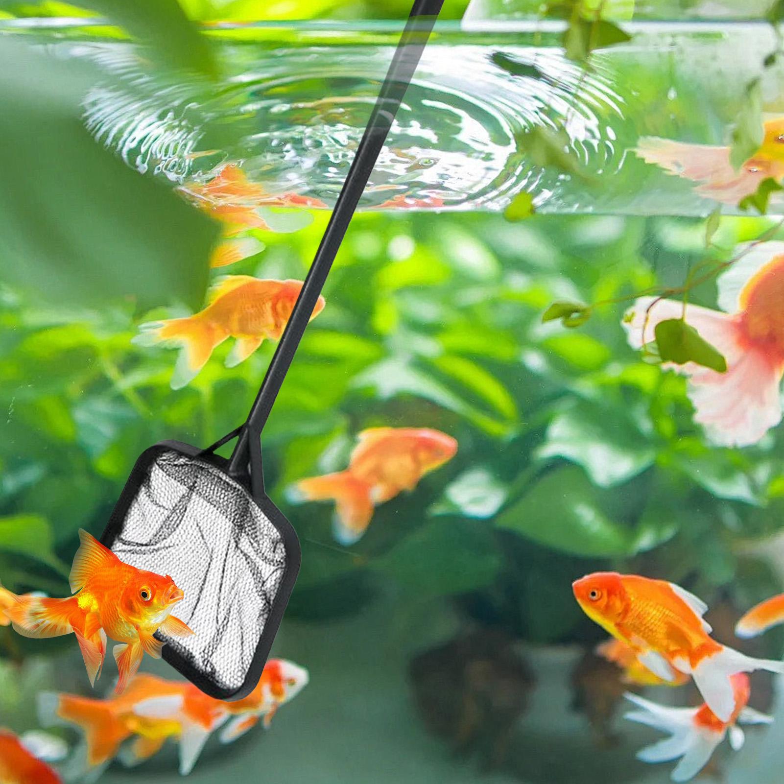 Pool Nets for Cleaning Portabl - Marine Aquarium Equipment review and price