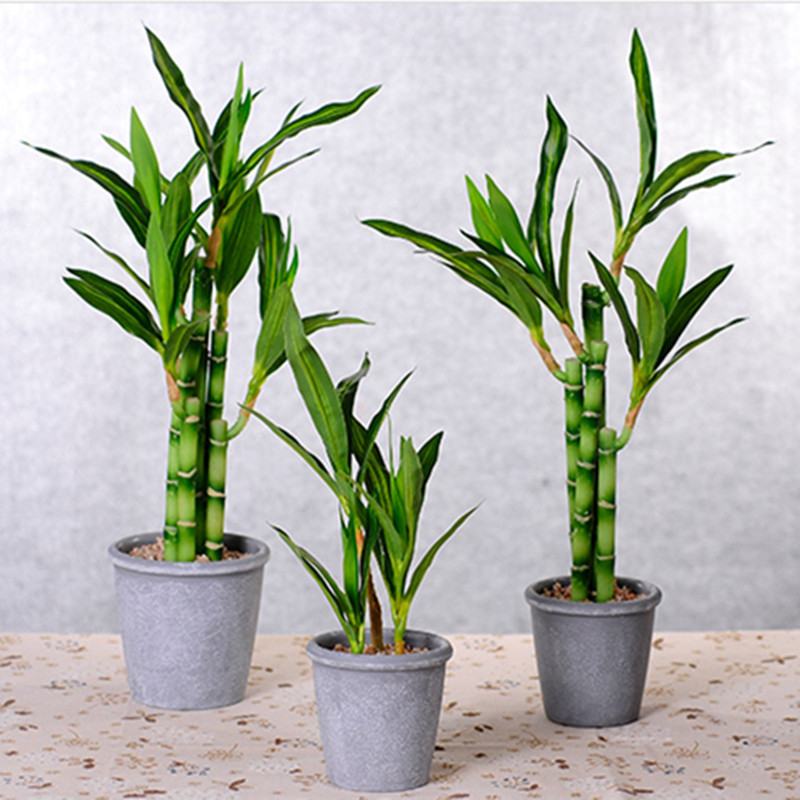 New 40cm rFtificial Lucky Bamb - Aquarium Marine Plants review and price