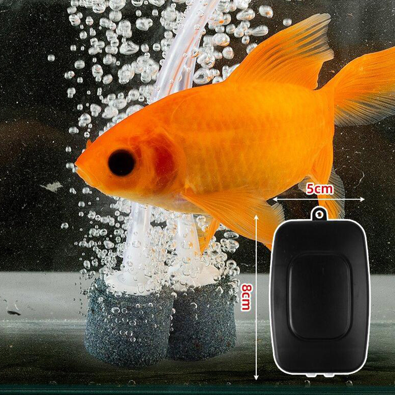 Mini Aquarium Air Pump Kit Oxy - Marine Aquarium Equipment review and price