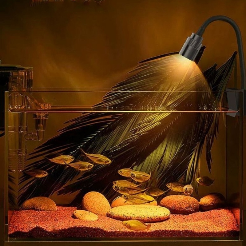 3W South American Aquarium Spo - Marine Aquarium Lamp review and price