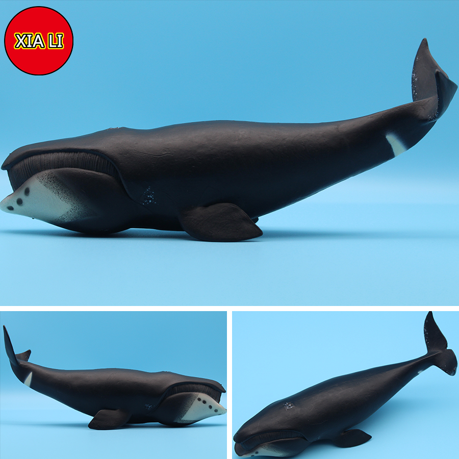 Ocean Sea Life Simulation Kill - Aquarium Blue Marine review and price