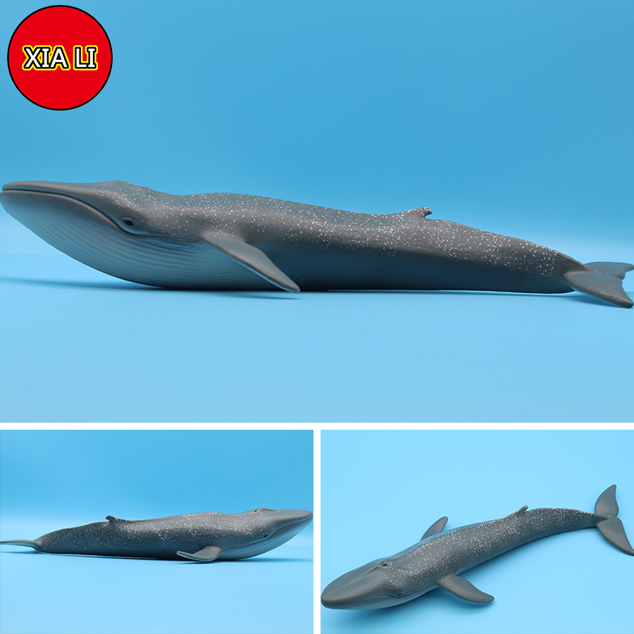 Ocean Sea Life Simulation Kill - Aquarium Blue Marine review and price