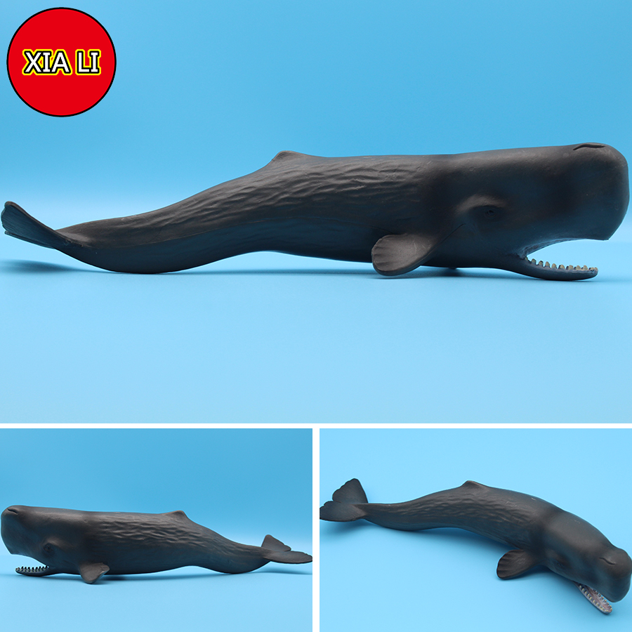 Ocean Sea Life Simulation Kill - Aquarium Blue Marine review and price