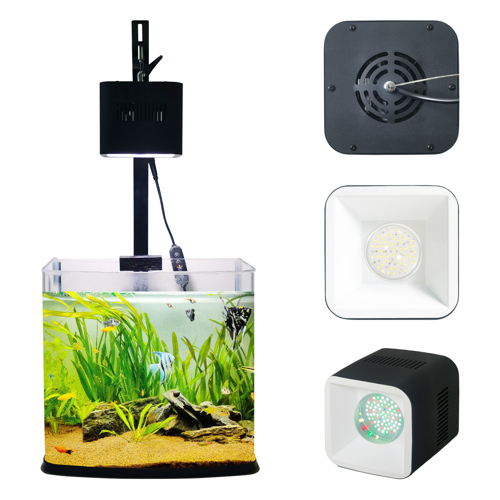 8H 10H 12H Timer Panel Reef Ma - Aquarium Blue Marine Reef review and price