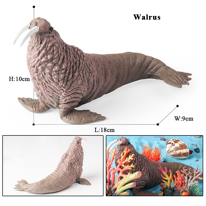 Oenux New Sea Life Seal Sea Li - Aquarium Blue Marine review and price