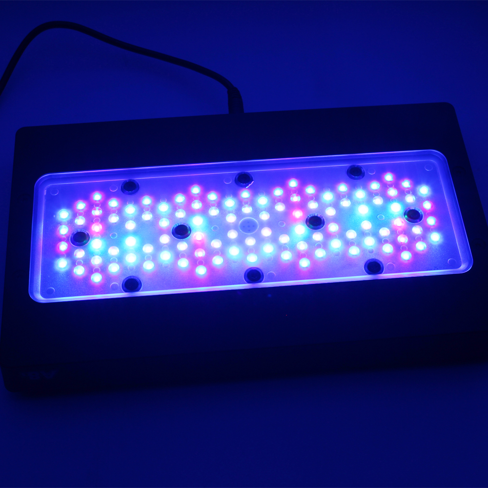 A8SE pro II MAX Blue 240W Mari - Aquarium Blue Marine Reef review and price