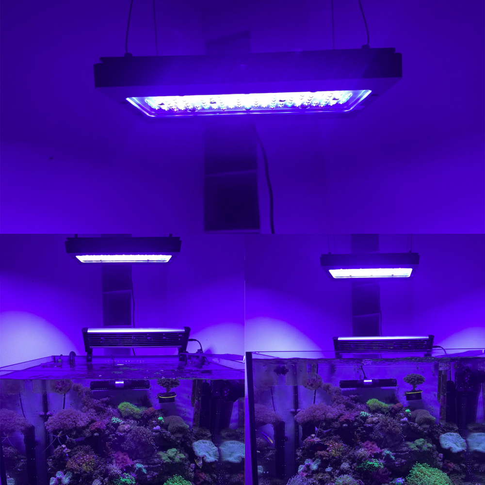 A8SE pro II MAX Blue 240W Mari - Aquarium Blue Marine Reef review and price
