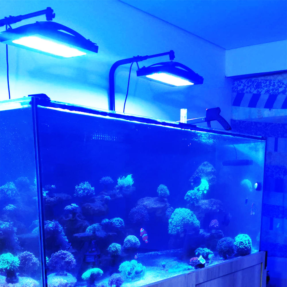 A8SE pro II MAX Blue 240W Mari - Aquarium Blue Marine Reef review and price