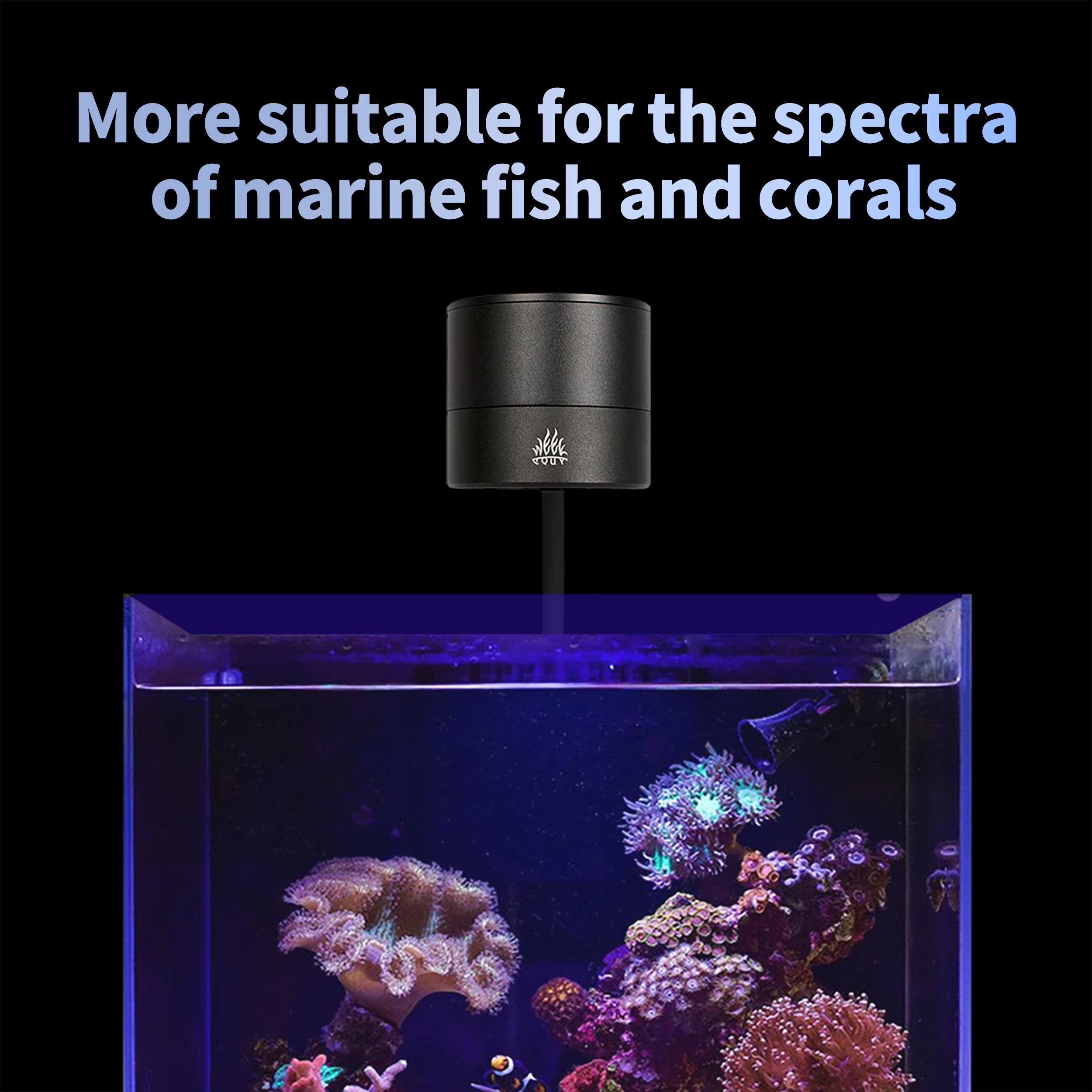 WEEK AQUA Aquarium Light Manuf - Aquarium Blue Marine Reef review and price