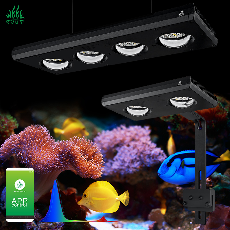 ZXY Hot Sale WEEKAQUA Z250 Z40 - Aquarium Blue Marine Reef review and price