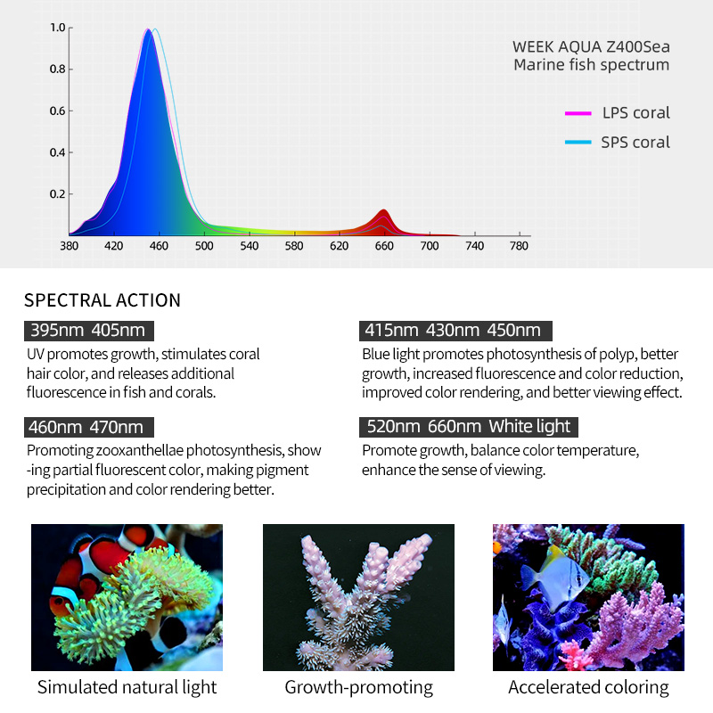 ZXY Hot Sale WEEKAQUA Z250 Z40 - Aquarium Blue Marine Reef review and price