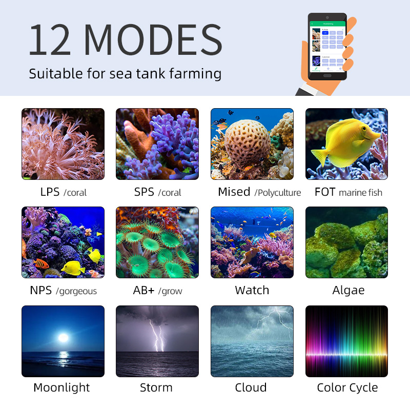 ZXY Hot Sale WEEKAQUA Z250 Z40 - Aquarium Blue Marine Reef review and price