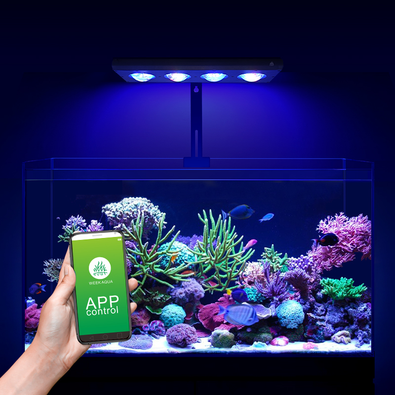 ZXY Hot Sale WEEKAQUA Z250 Z40 - Aquarium Blue Marine Reef review and price