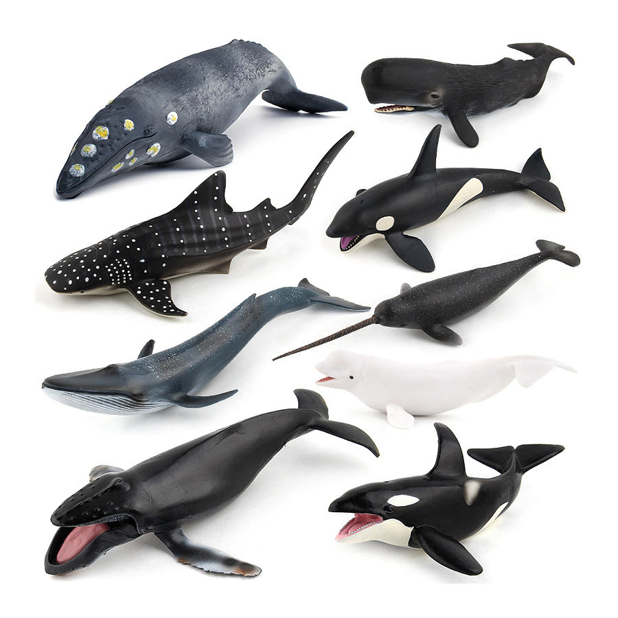 Realistic Humpback Whale Sperm - Marine Aquarium Decorations review and price