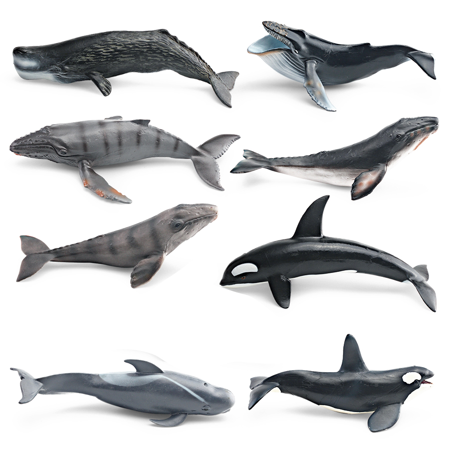Realistic Humpback Whale Sperm - Marine Aquarium Decorations review and price
