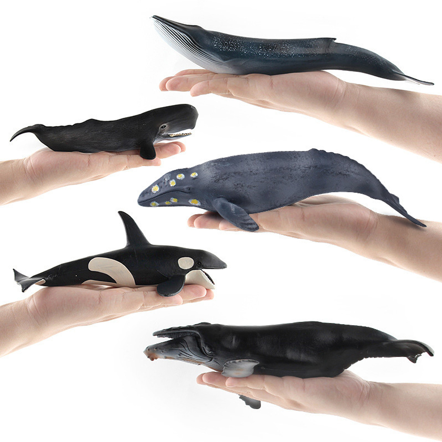 Realistic Humpback Whale Sperm - Marine Aquarium Decorations review and price