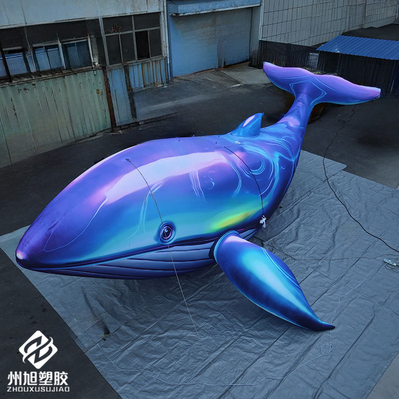 Inflatable blue whale, used as - Aquarium Blue Marine review and price