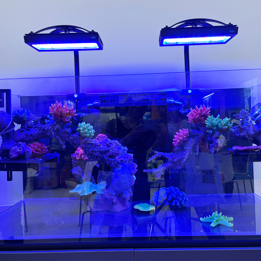 240W A8se II Max Blue Marine A - Aquarium Blue Marine Reef review and price