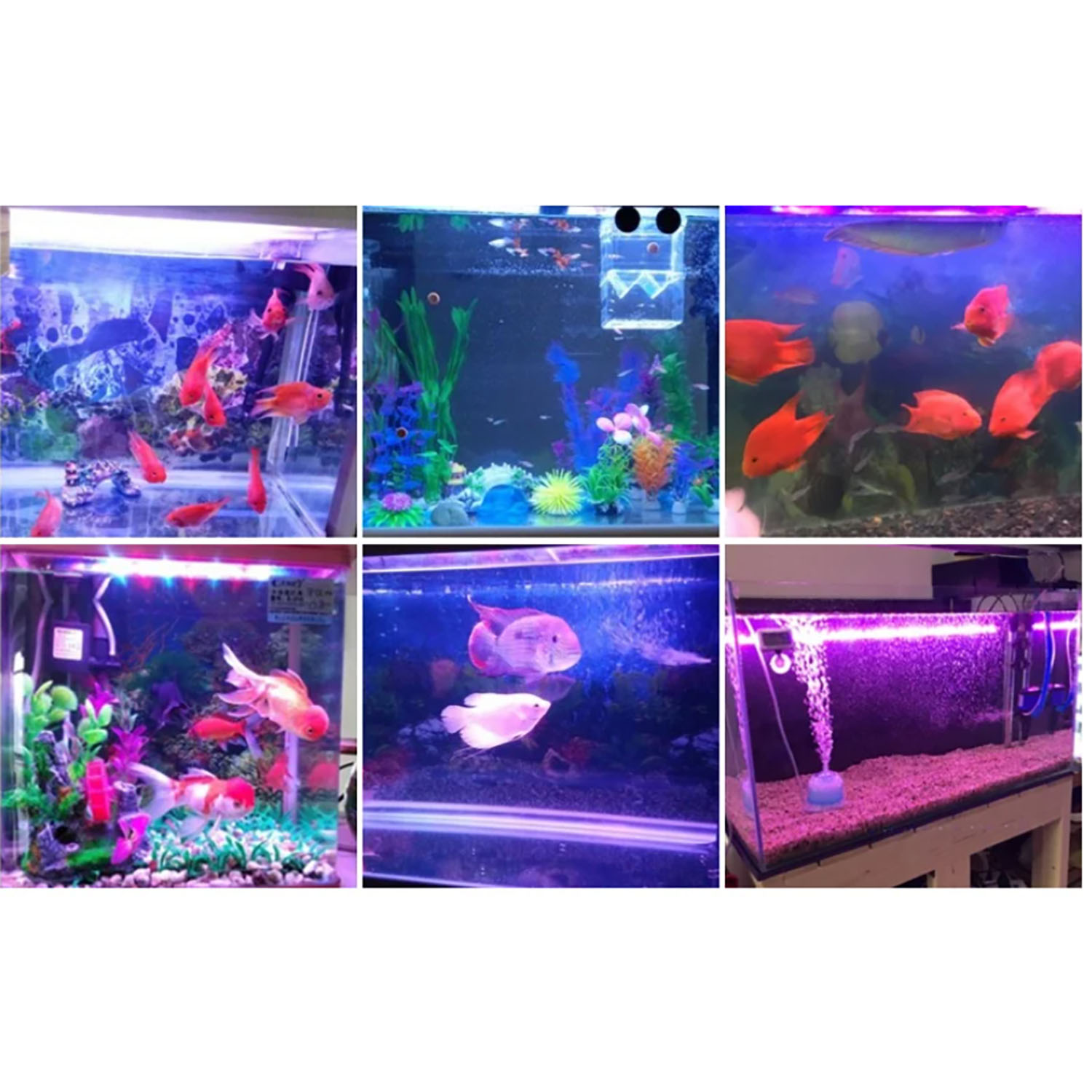 50W 60W 70W 100W RGB 26-28V Hi - Aquarium Blue Marine review and price