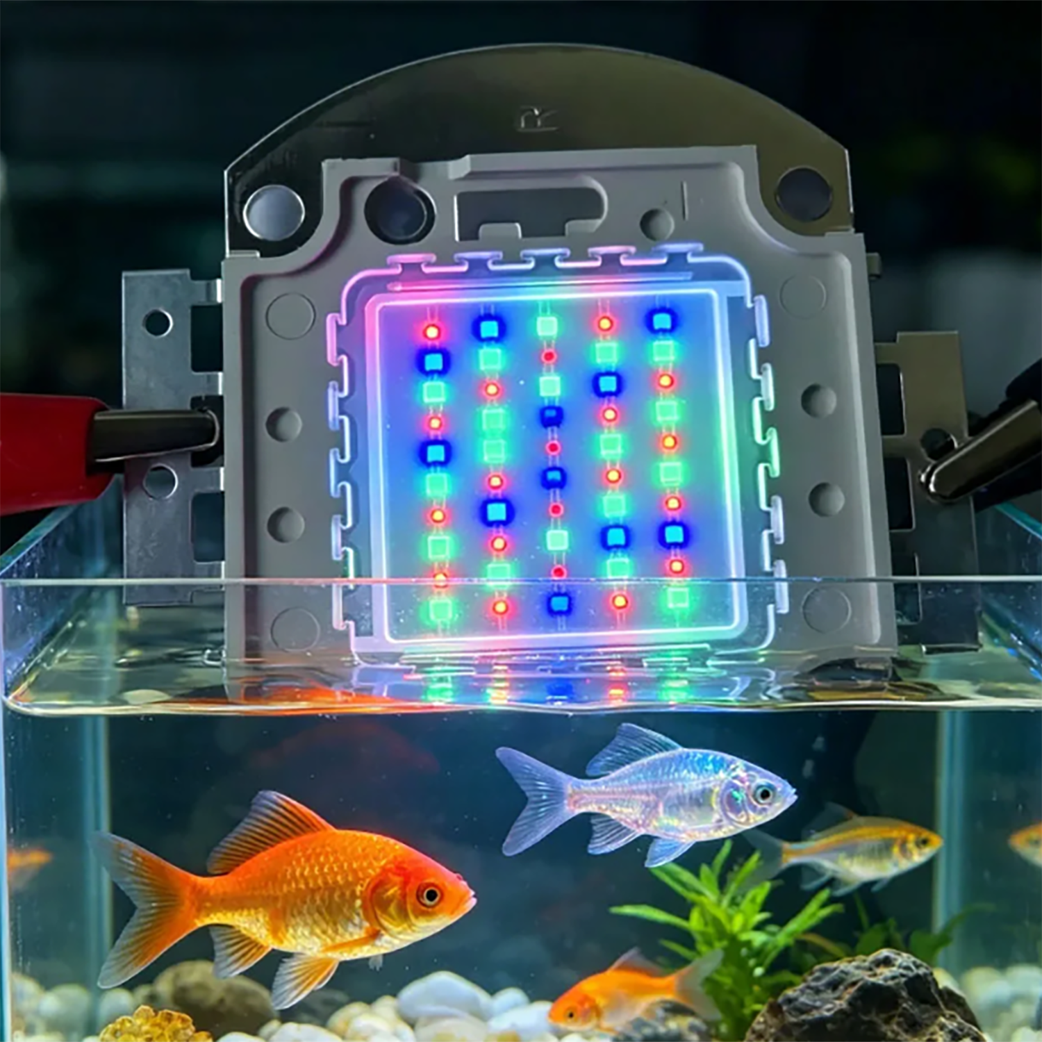 50W 60W 70W 100W RGB 26-28V Hi - Aquarium Blue Marine review and price