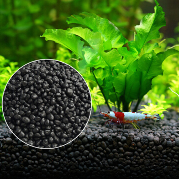Aquarium Plant Seeds Soil Fish - Aquarium Marine Plants review and price