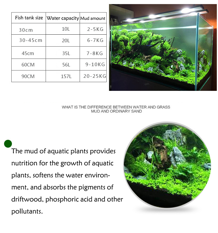 Aquarium Plant Seeds Soil Fish - Aquarium Marine Plants review and price