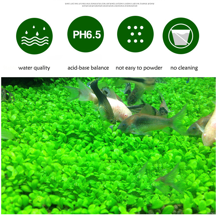 Aquarium Plant Seeds Soil Fish - Aquarium Marine Plants review and price