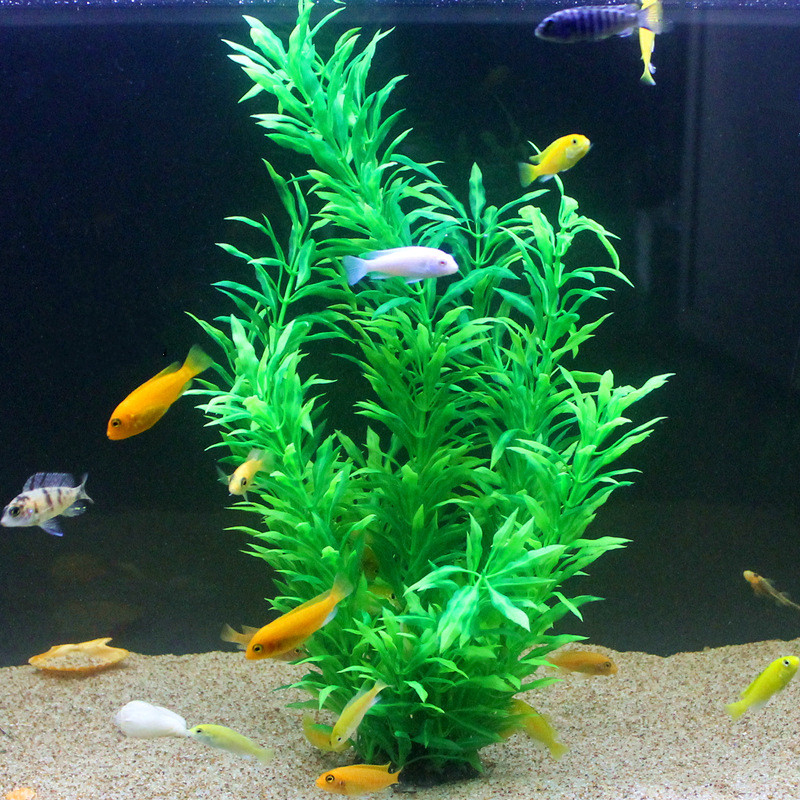 50CM Artificial Fish Tank Rare - Aquarium Marine Plants review and price