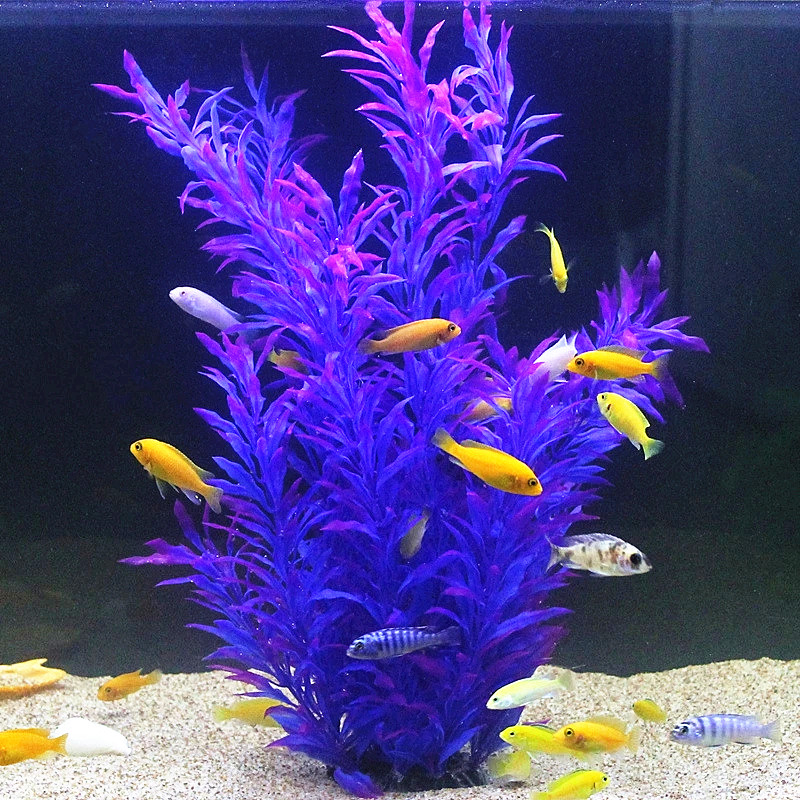 50CM Artificial Fish Tank Rare - Aquarium Marine Plants review and price