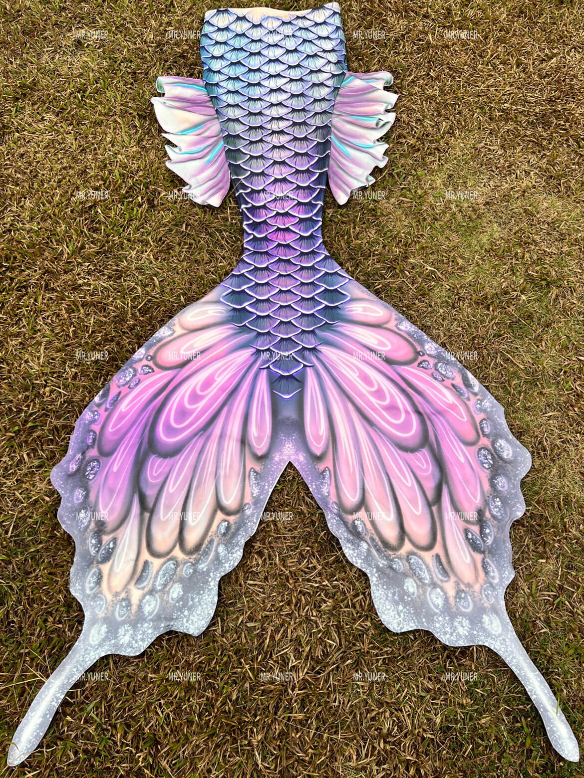 Butterfly Australian Fins Merm - Aquarium & Marine Museum review and price