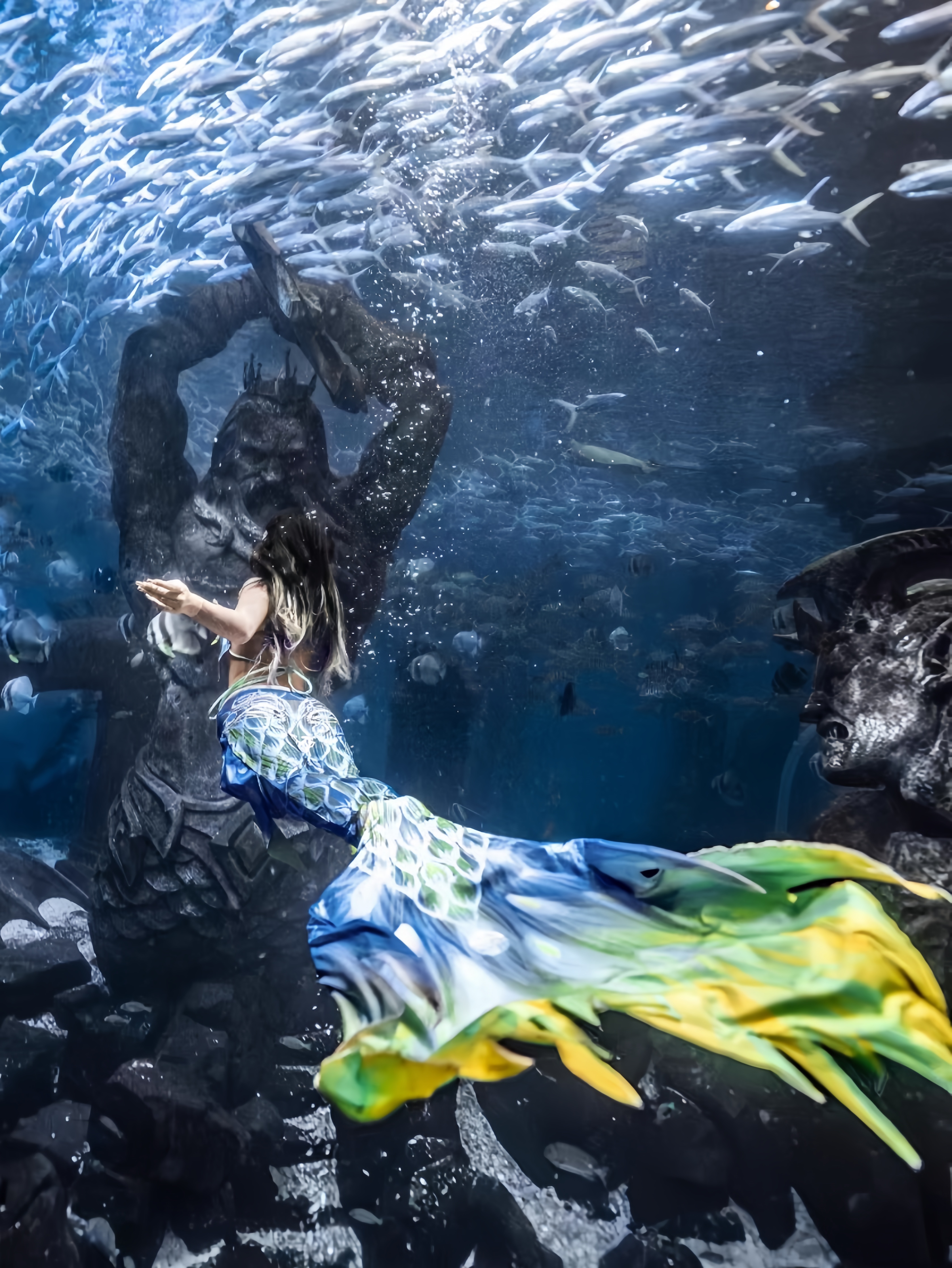 Mermaid Tail Adult Ladies Swim - Aquarium & Marine Museum review and price